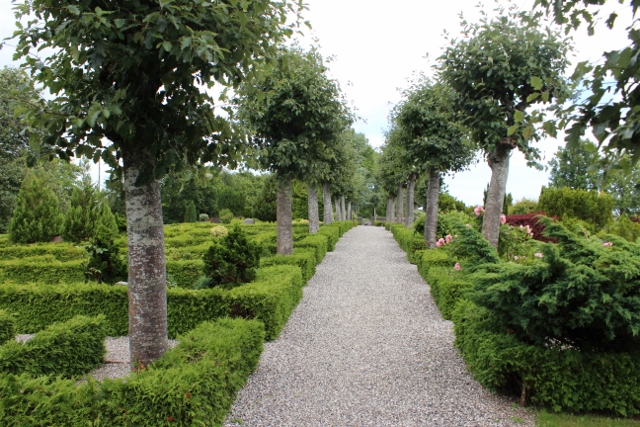 Trandbjerg (9) (640x427)